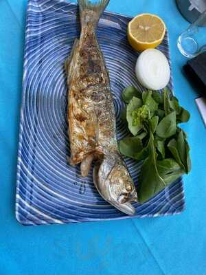 Bostanlı Balık Bakırköy Sahil