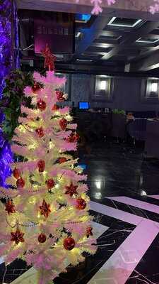 Lucia Lounge Süleymaniye