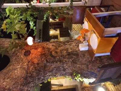 Antalya Liman Cafe & Restaurant