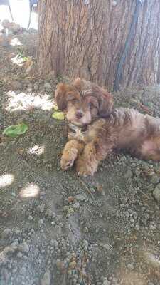 Casper Restaurant & Bar