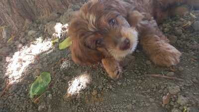 Casper Restaurant & Bar