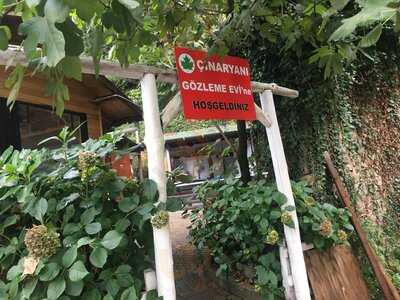 Çınar Yanı Gözleme Evi