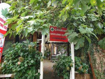 Çınar Yanı Gözleme Evi