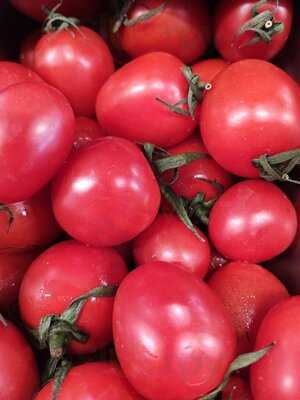 Esmer Chef Fish Meat Restaurant