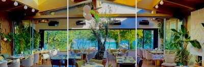 Stefano By İsmet Saz