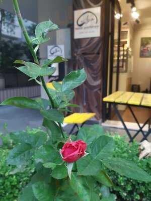 Nazar Pastanesi Suadiye Mustafa Boğaz