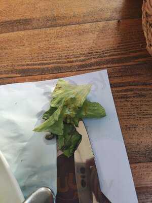 Dedee Performans By Pisidia