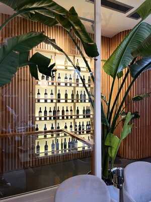 Stefano By İsmet Saz