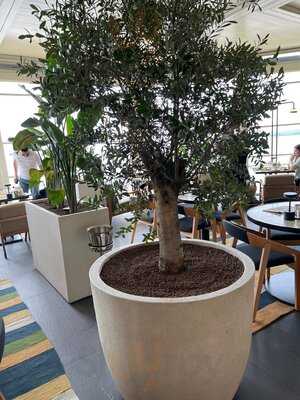 Vakkorama Aqua Florya