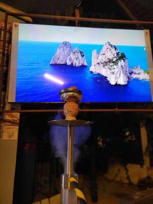 Squid Feel The Smoke