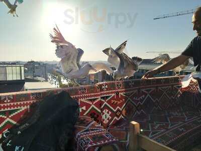 Sky Rooftop Hookah Lounge