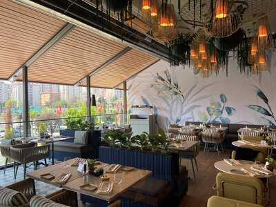 Divan Pub City's İstanbul