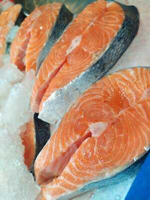 Bakırköy Balık Evi