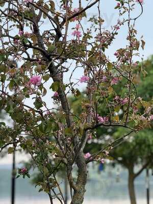 Green House Restaurant