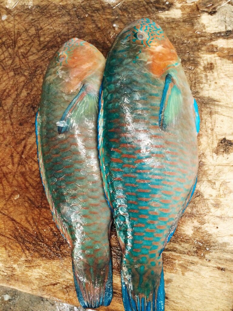 阿丁深海鮮魚湯