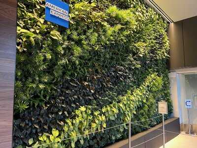 The Amex Centurion Lounge