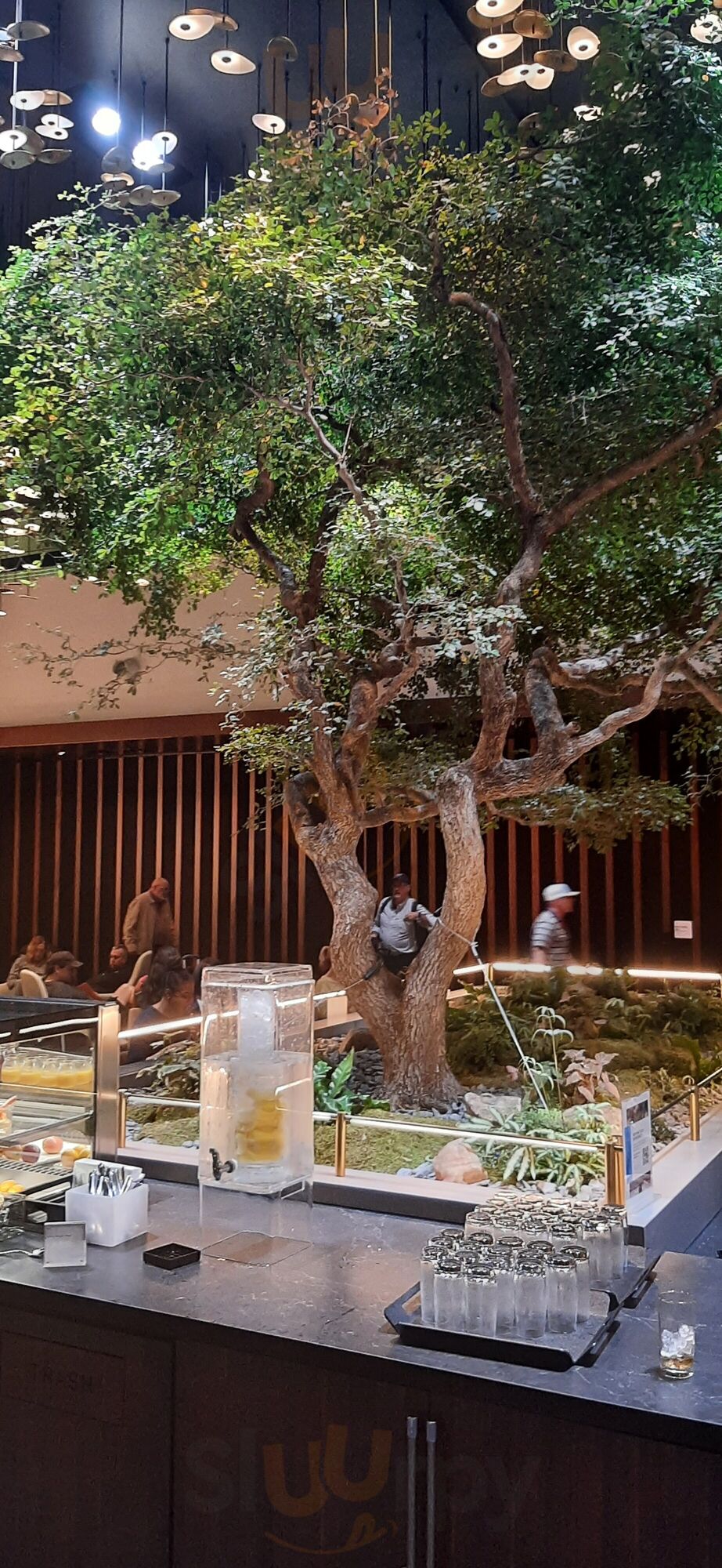 The Amex Centurion Lounge