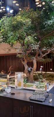 The Amex Centurion Lounge