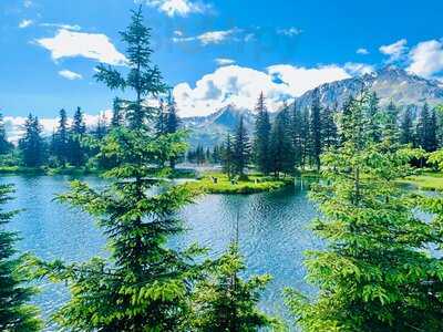 Howling Wolf Espresso