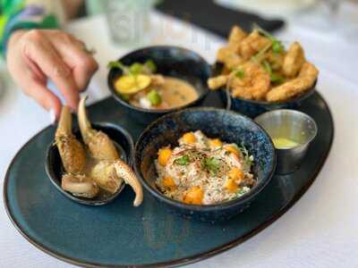 La Pata Gorda Coral Gables