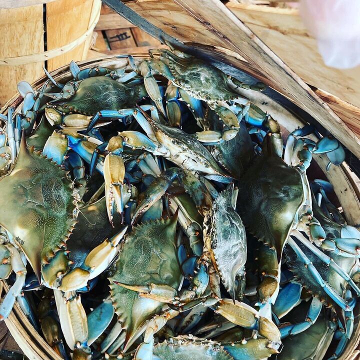 Conrad's Crabs Seafood Express