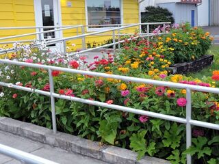 Sadie & Josie's Bakery - Long Beach, Wa