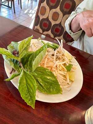 Pho 101 Noodle House