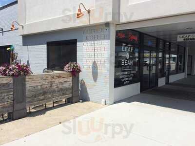 Leaf & Bean Coffee Co