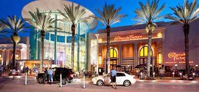 The Cheesecake Factory