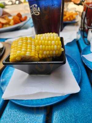 The Siesta Key Oyster Bar