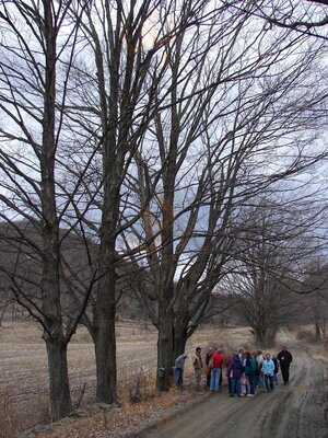 Red Fedele's Brook House Restaurant
