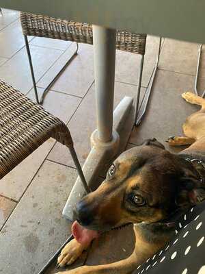 Chroma Modern Bar + Kitchen