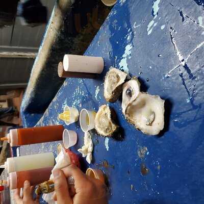 Lee & Rick's Oyster Bar