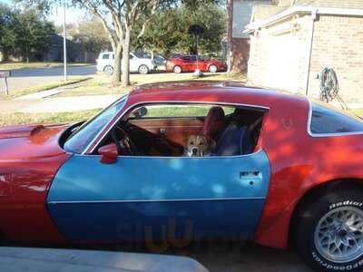 Goode Company Seafood