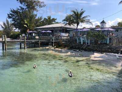 New Pass Grill And Bait Shop