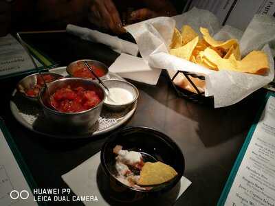 Iguana Mia Of Fort Myers