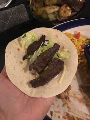 Iguana Mia Of Fort Myers