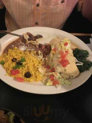 Iguana Mia Of Fort Myers