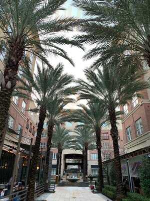 Black Walnut Kitchen & Bar