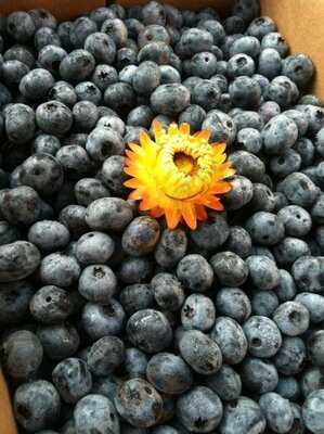 Good Earth Organic Eatery