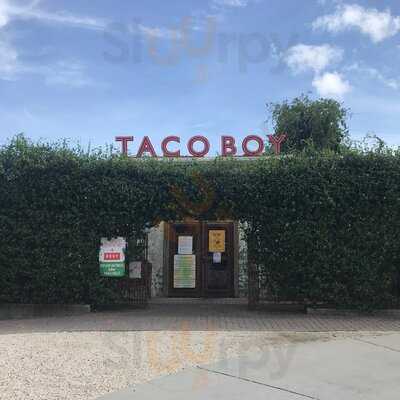 Taco Boy
