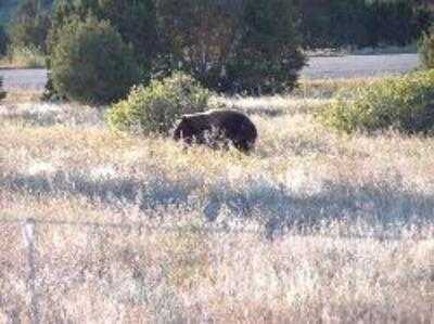 Juniper Valley Ranch