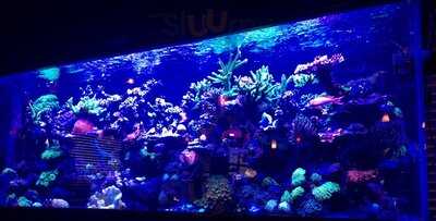 Redfish Seafood Grill