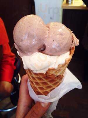 Hedonist Artisan Ice Cream