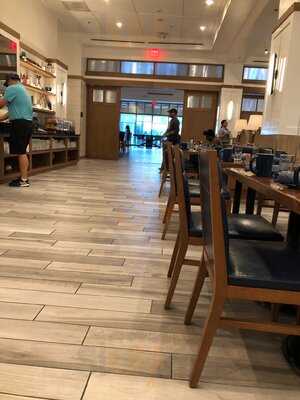 Latitude & Longitude