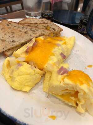 Latitude & Longitude