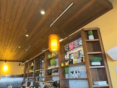 Urban Egg A Daytime Eatery