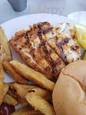 Daiquiri Deck St. Armands Circle