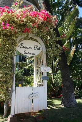 The Cream Pot