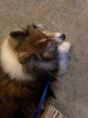 Black Bean Deli & Cuban Cafe